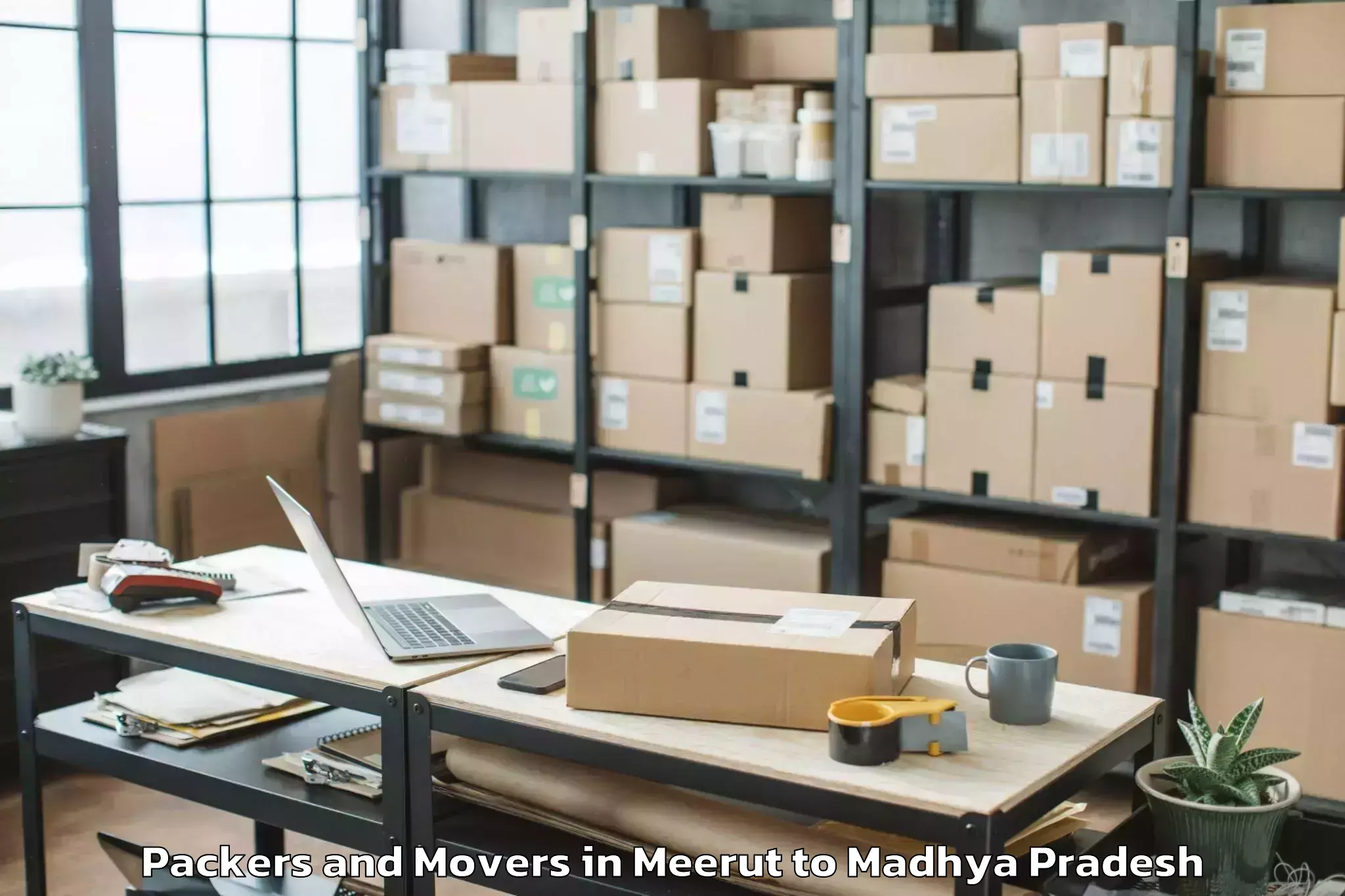 Top Meerut to Dhamnod Packers And Movers Available